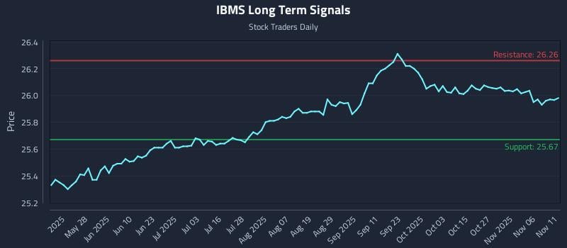 IBMS Long Term Analysis for November 11 2025