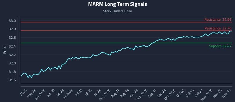 MARM Long Term Analysis for November 11 2025