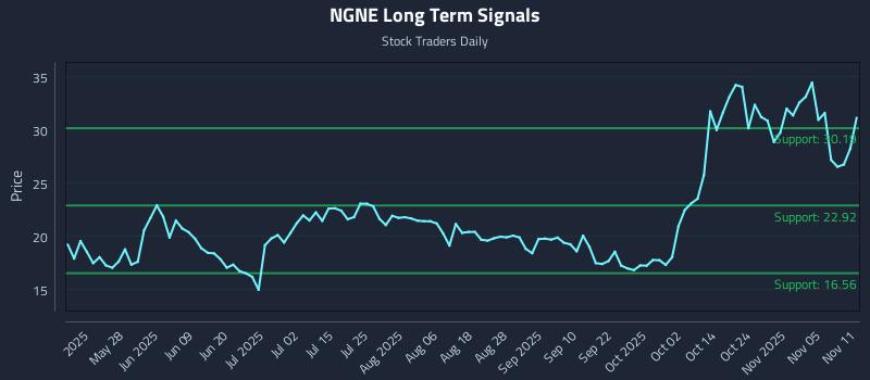 NGNE Long Term Analysis for November 11 2025 NGNE Long Term Analysis for November 11 2025
