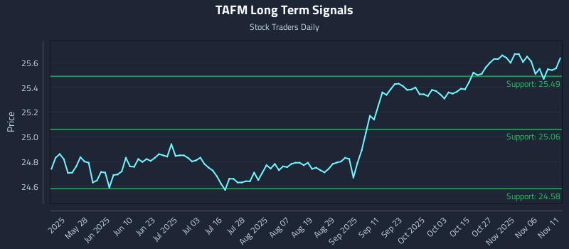 TAFM Long Term Analysis for November 11 2025