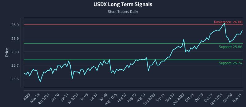 USDX Long Term Analysis for November 11 2025 USDX Long Term Analysis for November 11 2025