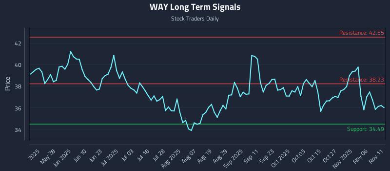 WAY Long Term Analysis for November 11 2025