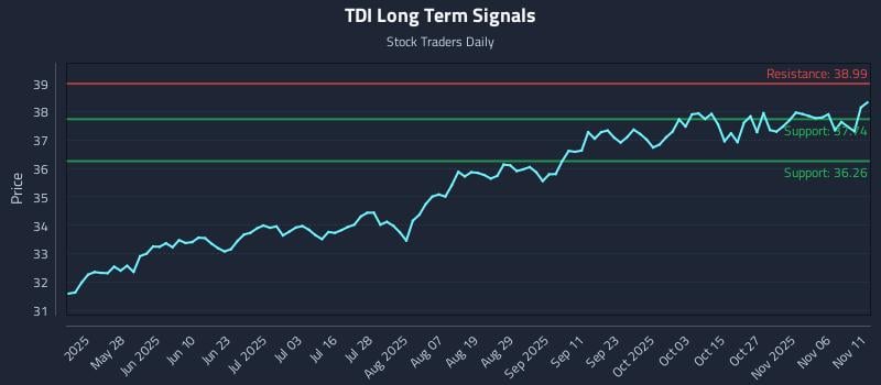 TDI Long Term Analysis for November 11 2025