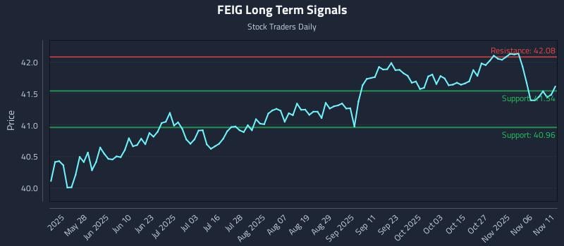 FEIG Long Term Analysis for November 11 2025 FEIG Long Term Analysis for November 11 2025