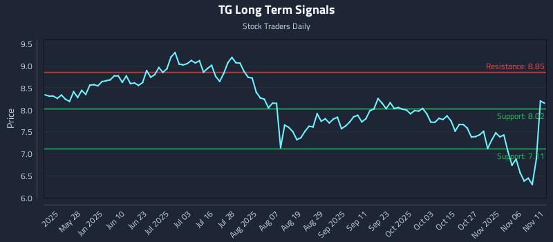 TG Long Term Analysis for November 11 2025 TG Long Term Analysis for November 11 2025