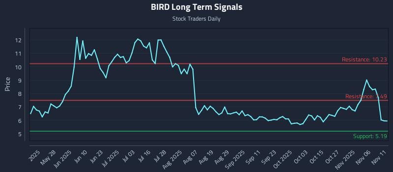 BIRD Long Term Analysis for November 11 2025