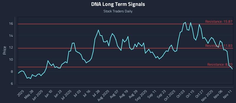 DNA Long Term Analysis for November 11 2025