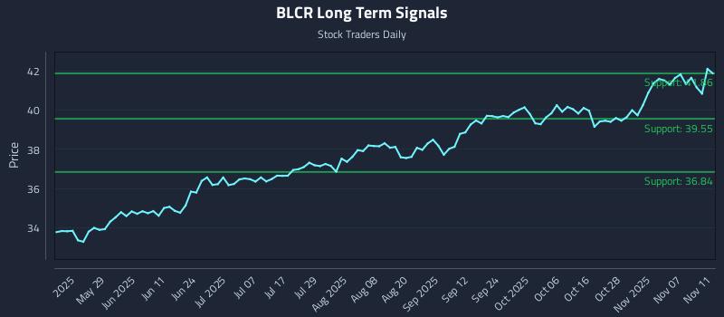 BLCR Long Term Analysis for November 12 2025