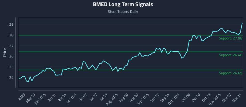 BMED Long Term Analysis for November 12 2025