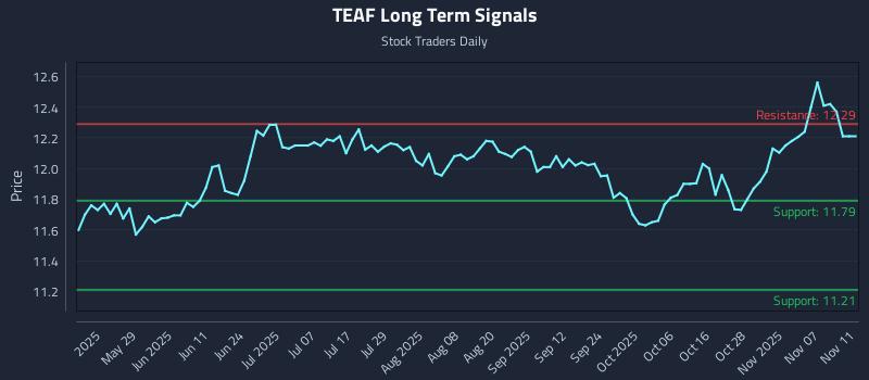 TEAF Long Term Analysis for November 12 2025 TEAF Long Term Analysis for November 12 2025