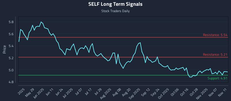 SELF Long Term Analysis for November 12 2025