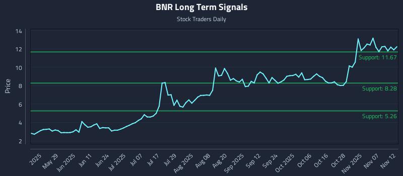 BNR Long Term Analysis for November 12 2025 BNR Long Term Analysis for November 12 2025