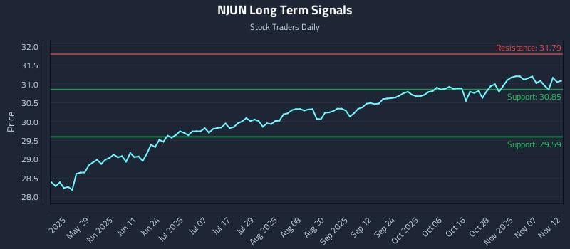 NJUN Long Term Analysis for November 12 2025 NJUN Long Term Analysis for November 12 2025