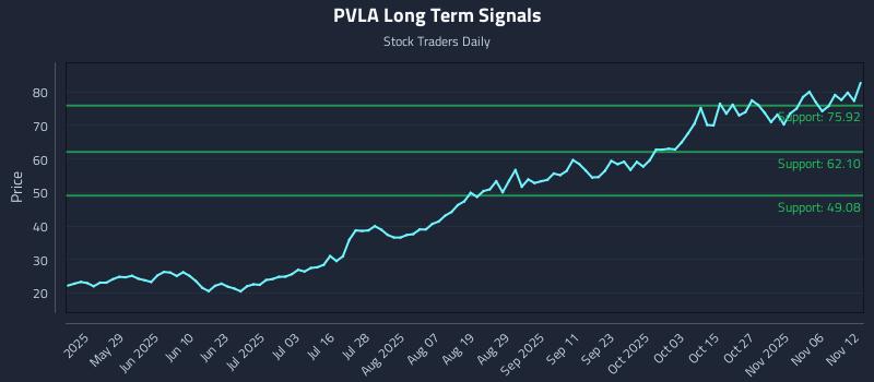 PVLA Long Term Analysis for November 12 2025 PVLA Long Term Analysis for November 12 2025
