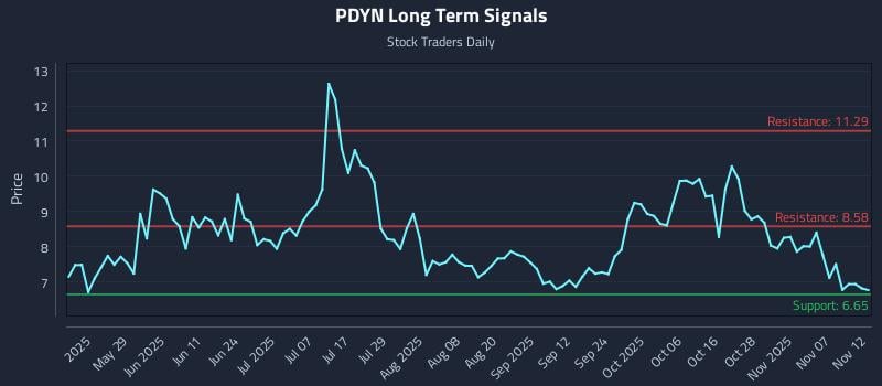PDYN Long Term Analysis for November 12 2025