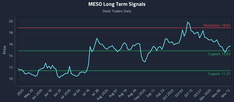 MESO Long Term Analysis for November 12 2025 MESO Long Term Analysis for November 12 2025