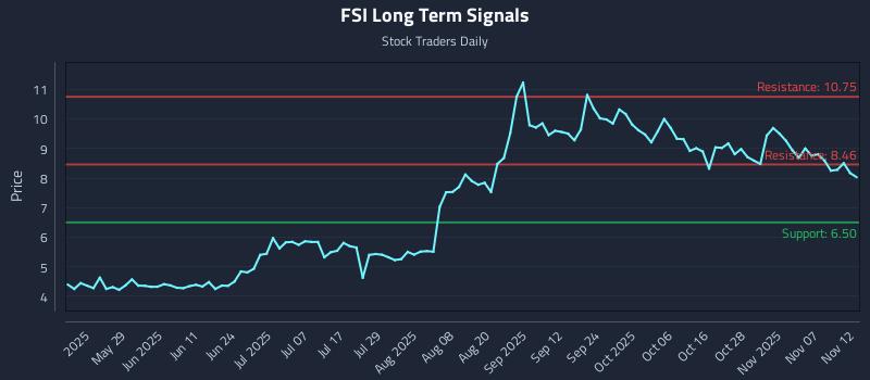 FSI Long Term Analysis for November 12 2025