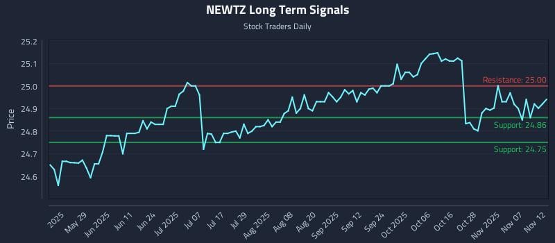 NEWTZ Long Term Analysis for November 12 2025