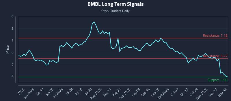 BMBL Long Term Analysis for November 13 2025