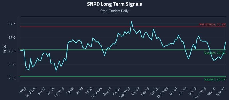 SNPD Long Term Analysis for November 13 2025