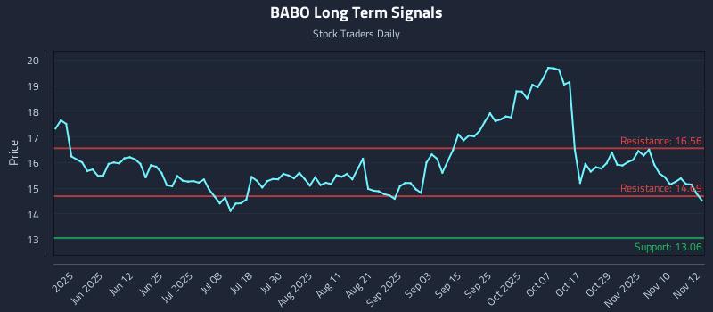 BABO Long Term Analysis for November 13 2025
