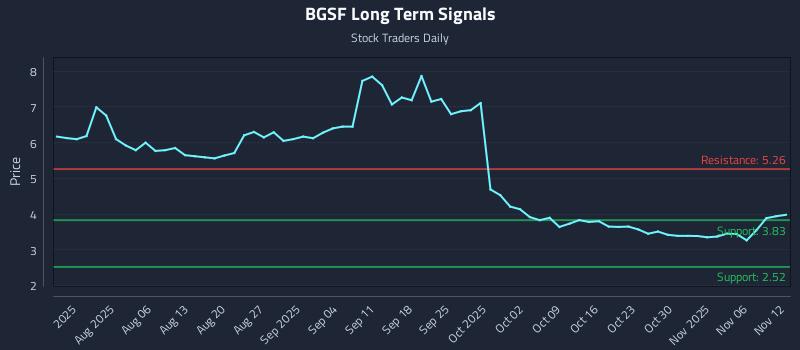 BGSF Long Term Analysis for November 13 2025