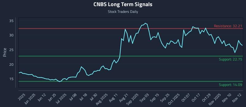 CNBS Long Term Analysis for November 13 2025 CNBS Long Term Analysis for November 13 2025
