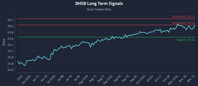 DHSB Long Term Analysis for November 13 2025