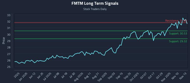 FMTM Long Term Analysis for November 13 2025