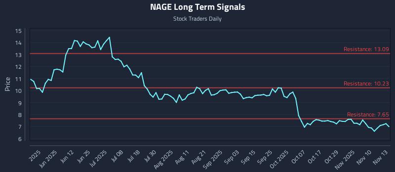 NAGE Long Term Analysis for November 13 2025 NAGE Long Term Analysis for November 13 2025