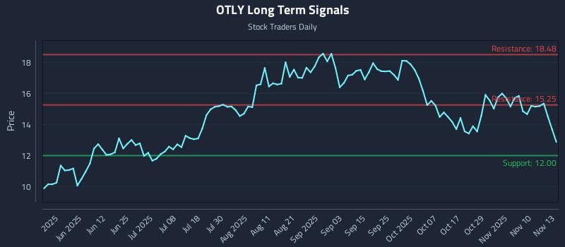 OTLY Long Term Analysis for November 13 2025 OTLY Long Term Analysis for November 13 2025