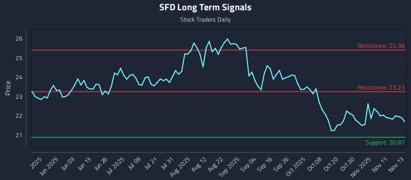 SFD Long Term Analysis for November 14 2025