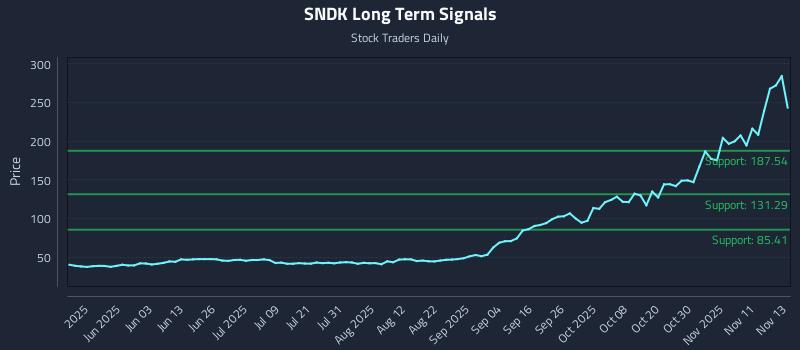 SNDK Long Term Analysis for November 14 2025