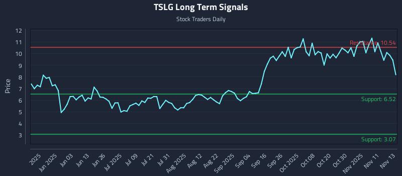 TSLG Long Term Analysis for November 14 2025