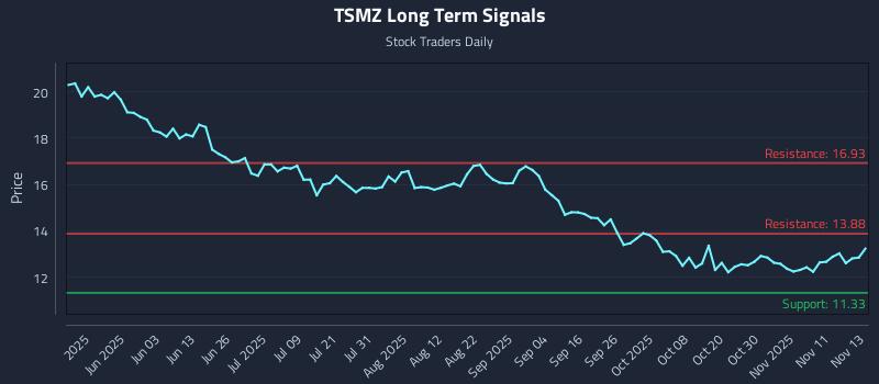 TSMZ Long Term Analysis for November 14 2025 TSMZ Long Term Analysis for November 14 2025