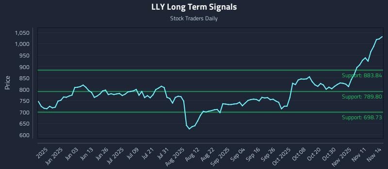 LLY Long Term Analysis for November 14 2025