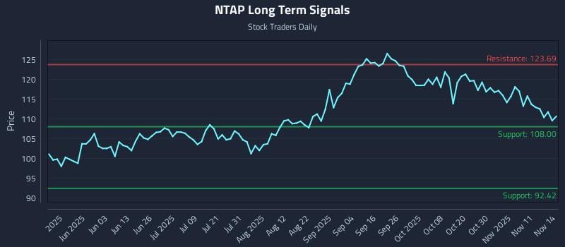 NTAP Long Term Analysis for November 14 2025
