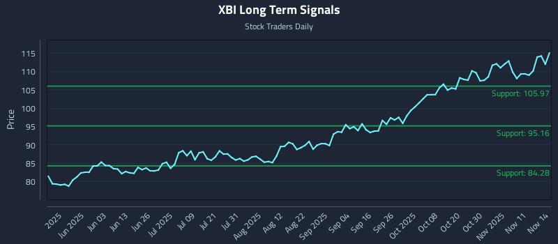 XBI Long Term Analysis for November 14 2025