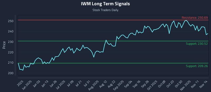IWM Long Term Analysis for November 14 2025 IWM Long Term Analysis for November 14 2025