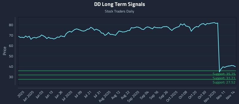 DD Long Term Analysis for November 14 2025 DD Long Term Analysis for November 14 2025