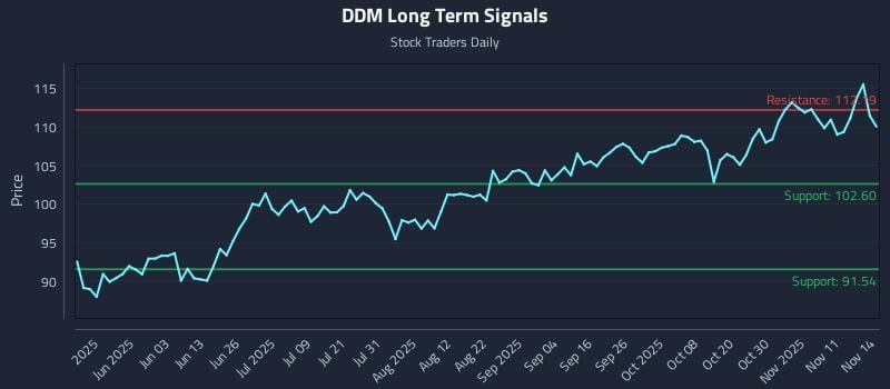 DDM Long Term Analysis for November 14 2025