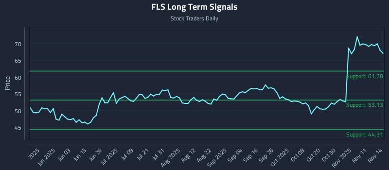 FLS Long Term Analysis for November 14 2025