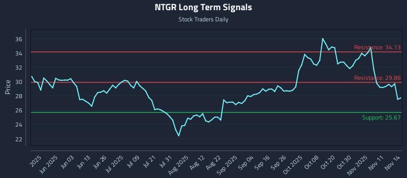 NTGR Long Term Analysis for November 15 2025 NTGR Long Term Analysis for November 15 2025