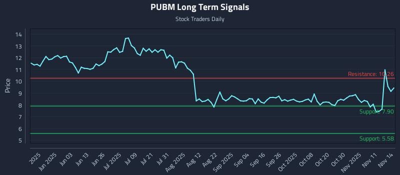 PUBM Long Term Analysis for November 15 2025 PUBM Long Term Analysis for November 15 2025