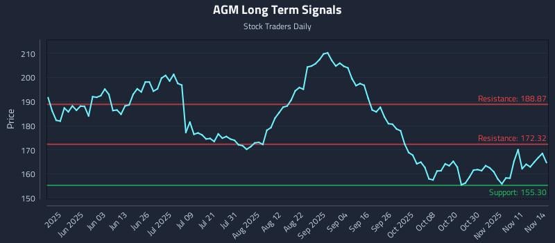 AGM Long Term Analysis for November 15 2025 AGM Long Term Analysis for November 15 2025