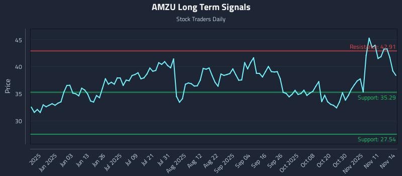AMZU Long Term Analysis for November 15 2025