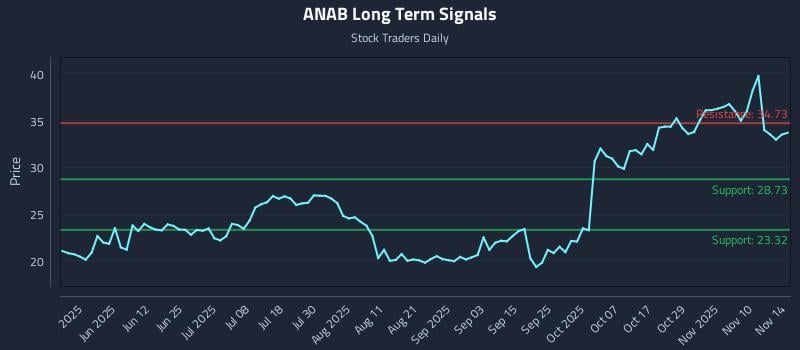 ANAB Long Term Analysis for November 15 2025 ANAB Long Term Analysis for November 15 2025