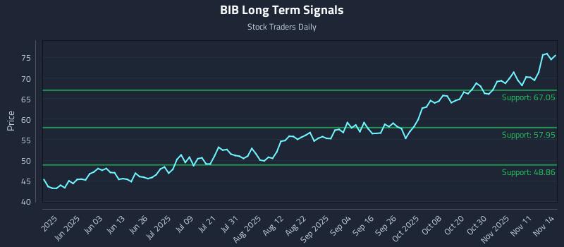 BIB Long Term Analysis for November 16 2025