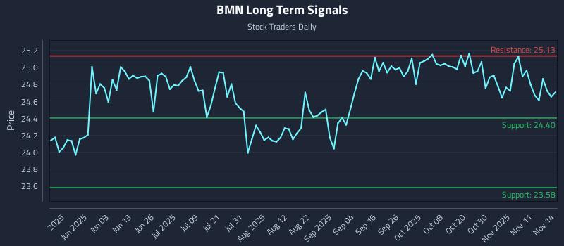 BMN Long Term Analysis for November 16 2025