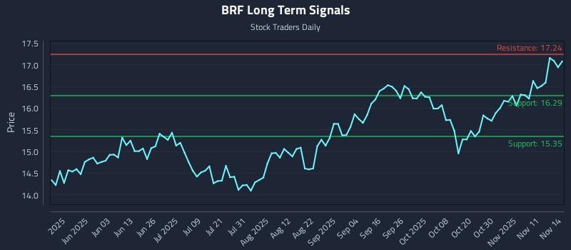BRF Long Term Analysis for November 16 2025 BRF Long Term Analysis for November 16 2025